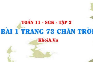 Bài 1 trang 73 Toán 11 Tập 2 Chân trời sáng tạo